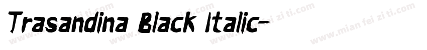Trasandina Black Italic字体转换